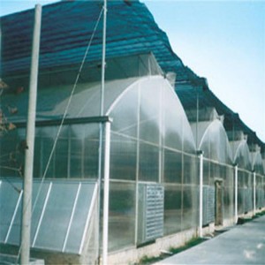 The Chepest Agricultural Plastic Film Greenhouse
